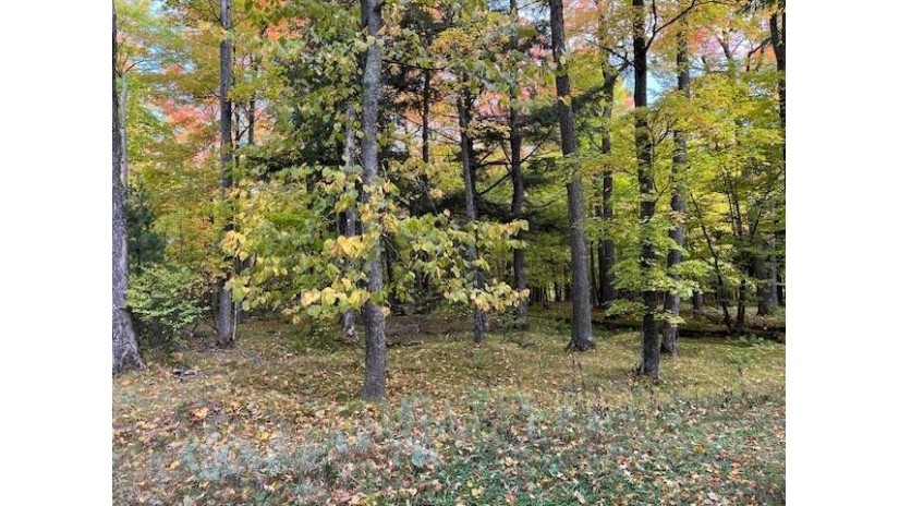 1323 Deer Path Phelps, WI 54554 by Eliason Realty - Land O Lakes $139,000