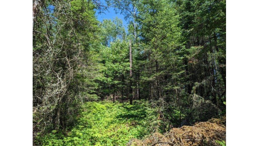 Lot 4 River Glen Rd Park Falls, WI 54552 by Northwoods Realty $65,000