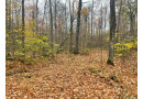 On Summit Woods Ln, Summit, WI 54435 by Northern Wisconsin Real Estate, Llc $61,000