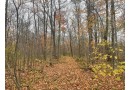 On Summit Woods Ln, Summit, WI 54435 by Northern Wisconsin Real Estate, Llc $61,000