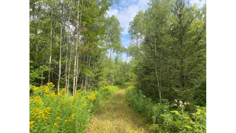 Near Schmidt Ln Argonne, WI 54511 by Steigerwaldt Land Sales, Llc $2,000,000