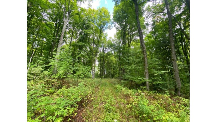 Near Schmidt Ln Argonne, WI 54511 by Steigerwaldt Land Sales, Llc $2,000,000