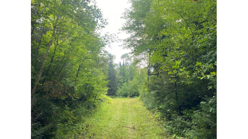 Near Schmidt Ln Argonne, WI 54511 by Steigerwaldt Land Sales, Llc $2,000,000