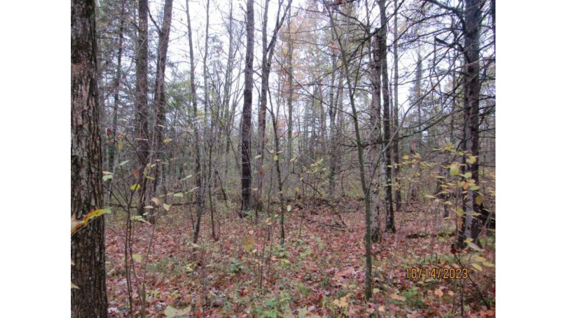 Off Mill Rd Ogema, WI 54459 by Birchland Realty, Inc. - Phillips $225,000