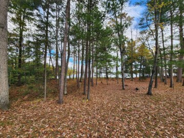 Lot 1 Gopher Ln, Minocqua, WI 54548