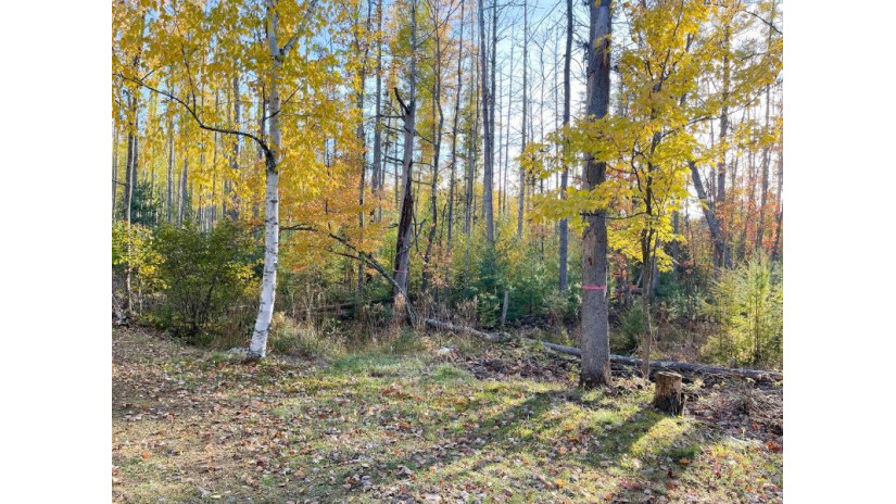 Lot 1 Gopher Ln Minocqua, WI 54548 by Redman Realty Group, Llc $299,900