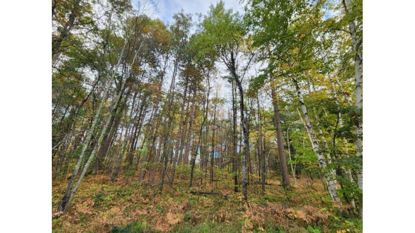 Lot 1 Gopher Ln Minocqua, WI 54548 by Redman Realty Group, Llc $299,900