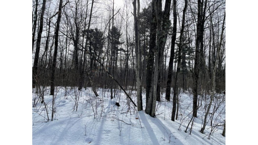 On Red Fox Run Rhinelander, WI 54501 by Shorewest Realtors $24,900