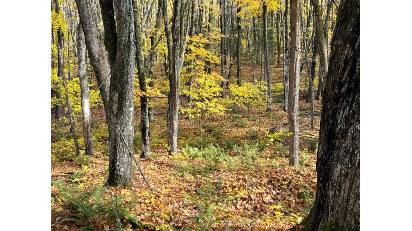 Lot 26 Black Forest Rd Presque Isle, WI 54557 by Redman Realty Group, Llc $19,900
