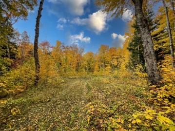 On Chaney Lake Rd, Bessemer, MI 49911