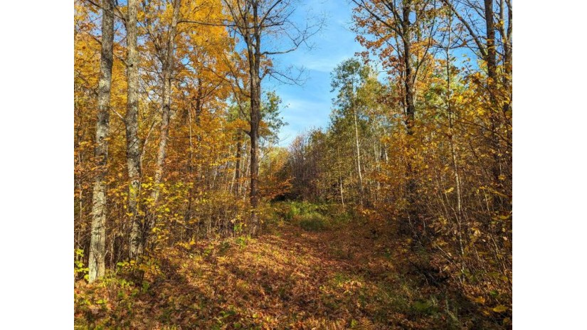 W2509 Trappers Rd Hackett, WI 54555 by Landguys, Llc Of Wisconsin $1,395,000