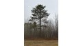 On Burrows Lake Rd 4067-B Little Rice, WI 54487 by First Weber - Rhinelander $195,000