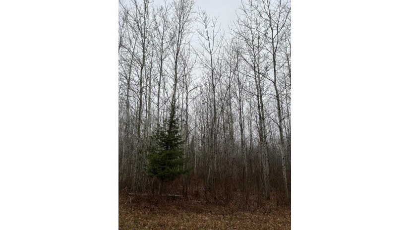 On Burrows Lake Rd 4067-F Little Rice, WI 54487 by First Weber - Rhinelander $220,500