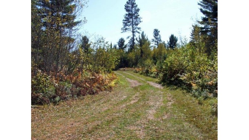 Tbd Forest Rd 2127 Bates, MI 49935 by Wild Rivers Realty & Assoc., Inc $299,900