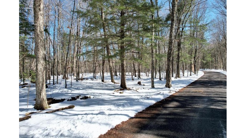 On Forest Lake Rd W Land O' Lakes, WI 54540 by Eliason Realty - Land O Lakes $290,000