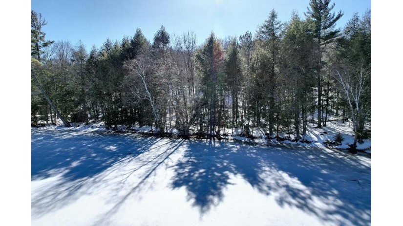 On Forest Lake Rd W Land O' Lakes, WI 54540 by Eliason Realty - Land O Lakes $290,000