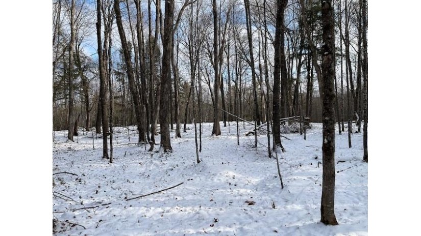 On Forest Lake Rd W Land O' Lakes, WI 54540 by Eliason Realty - Land O Lakes $290,000