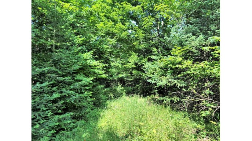 1.16 On Sand Cove Pointe Rd Eisenstein, WI 54552 by Northwoods Realty $83,900