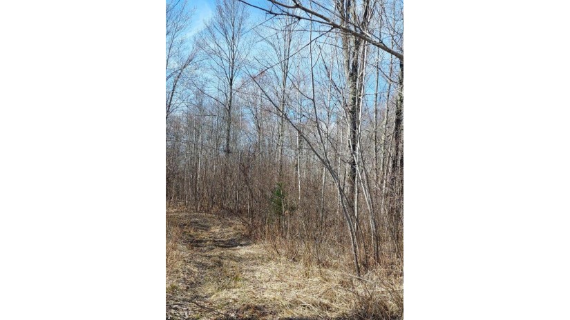 Off Cth I Ogema, WI 54459 by Birchland Realty, Inc. - Phillips $165,000