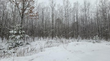 Lot 6 Pinewood Ct, Lac Du Flambeau, WI 54538