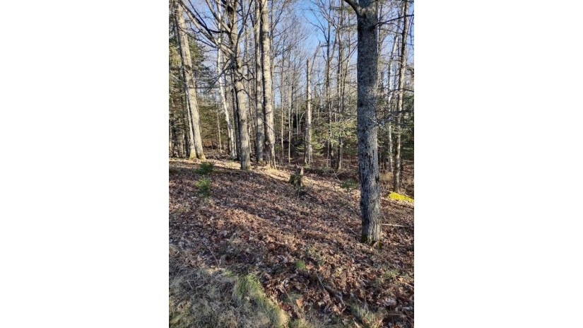 On Stateline Lake Rd E Lot 2 Marenisco, MI 49947 by Headwaters Real Estate $150,000