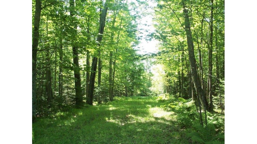 On Stateline Lake Rd E Lot 2 Presque Isle, MI 49947 by Headwaters Real Estate $150,000