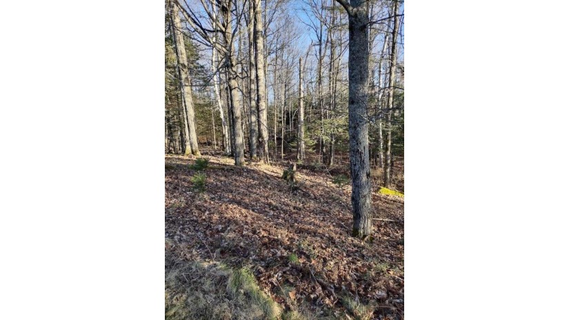 On Stateline Lake Rd E Lot 3 Marenisco, MI 49947 by Headwaters Real Estate $150,000