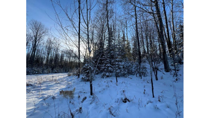 Lot 2 Isabelle Dr Lot 2 Marenisco, MI 49947 by Headwaters Real Estate $69,900