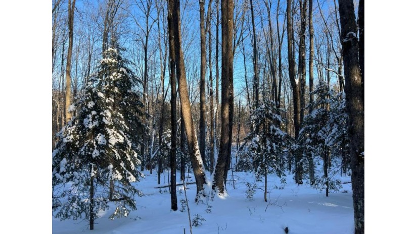 Lot 2 Isabelle Dr Lot 2 Marenisco, MI 49947 by Headwaters Real Estate $69,900