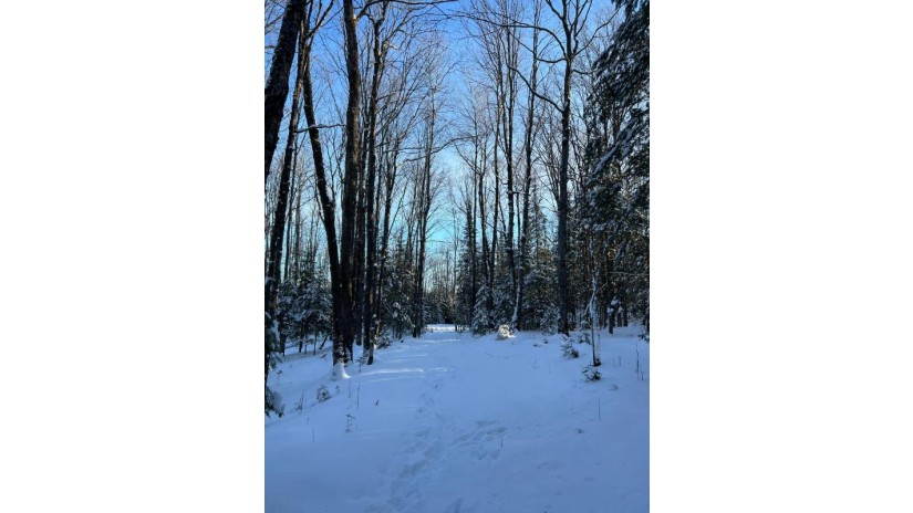 Lot 2 Isabelle Dr Lot 2 Marenisco, MI 49947 by Headwaters Real Estate $69,900