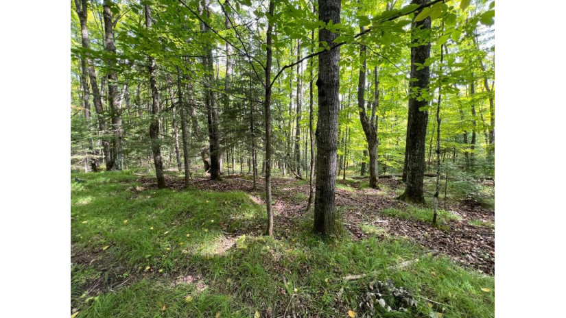 Lot 2 Isabelle Dr Lot 2 Marenisco, MI 49947 by Headwaters Real Estate $69,900