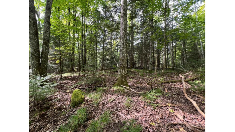 Lot 2 Isabelle Dr Lot 2 Marenisco, MI 49947 by Headwaters Real Estate $69,900