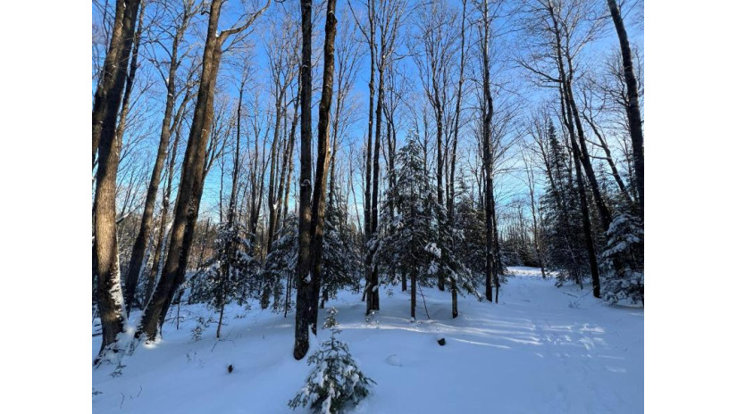 Lot 2 Isabelle Dr Lot 2 Marenisco, MI 49947 by Headwaters Real Estate $69,900