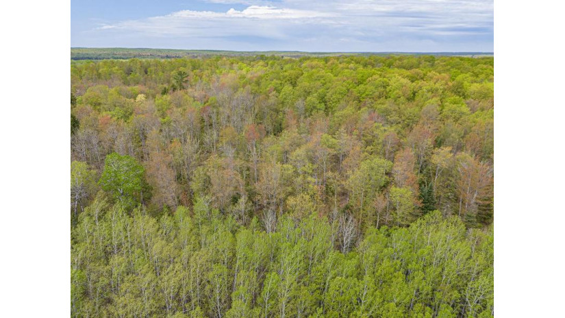 On Hwy 2 120 Acres Marenisco, MI 49947 by Redman Realty Group, Llc $245,000