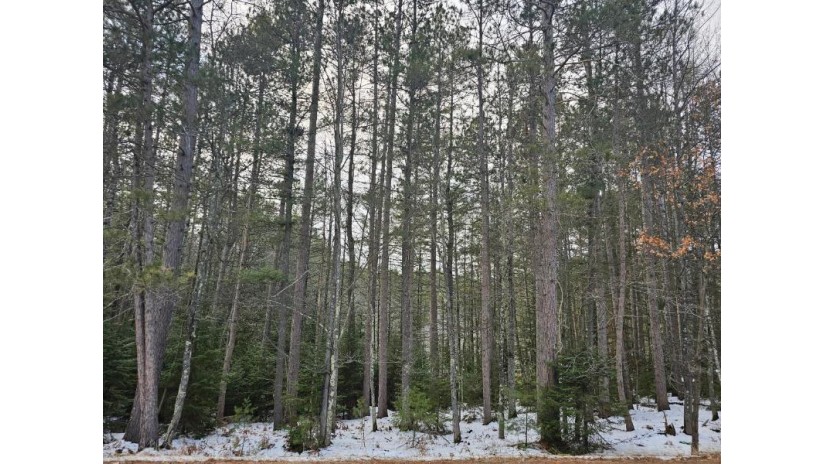 Near Hwy 155 St. Germain, WI 54558 by 4 Star Realty $69,900