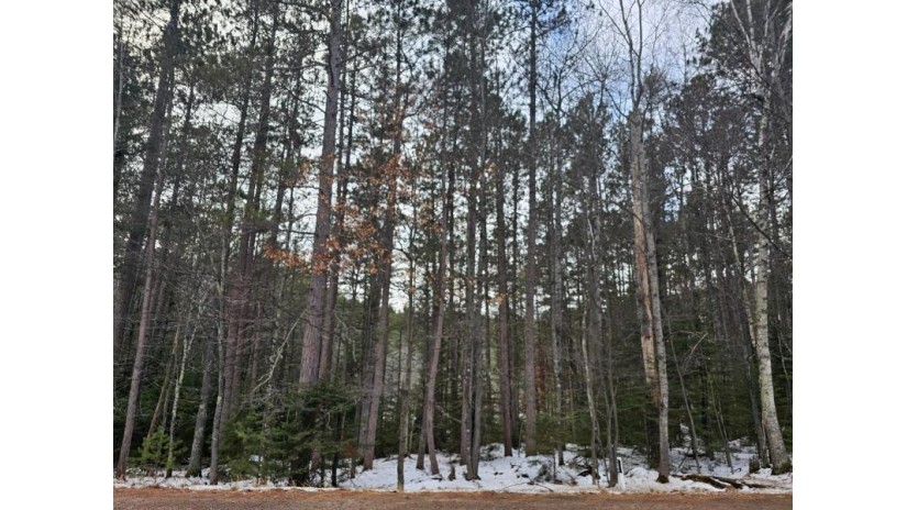 Near Hwy 155 St. Germain, WI 54558 by 4 Star Realty $45,000