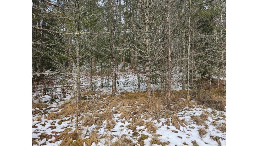 Near Hwy 155 St. Germain, WI 54558 by 4 Star Realty $45,000