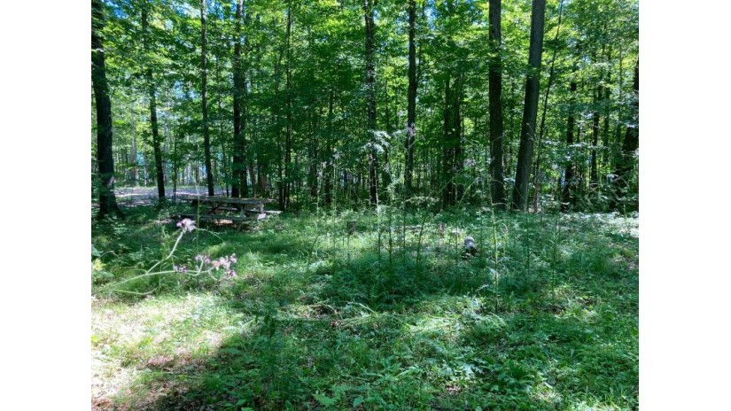 On Camp Six Loop Lot 16 LAONA, WI 54541 by Homeland Realty Wi Llc $149,900