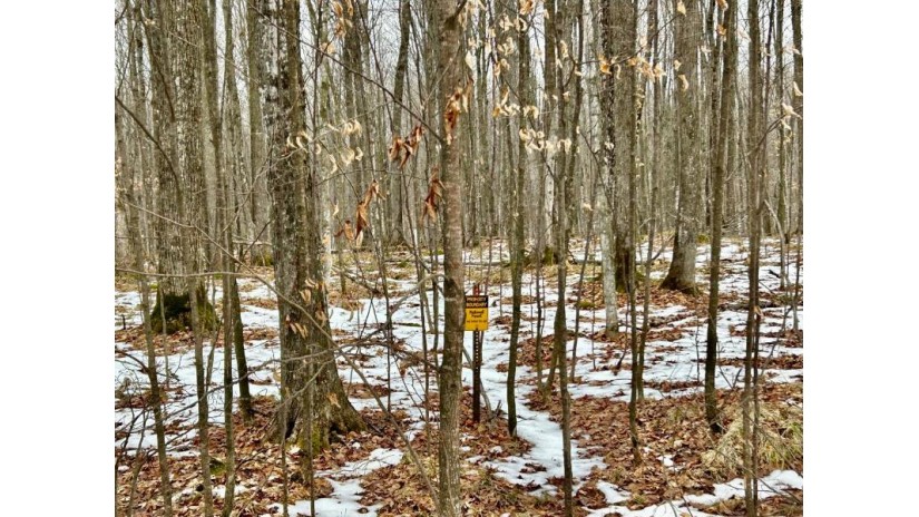 On Camp Six Loop Lot 16 Blackwell, WI 54541 by Homeland Realty Wi Llc $169,900