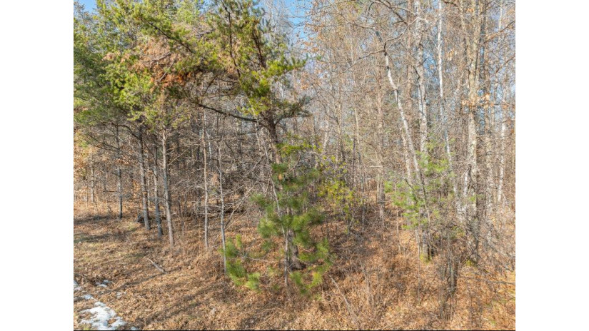 Ne-1995 Rapids Rd Newbold, WI 54539 by Re/Max Property Pros $29,500