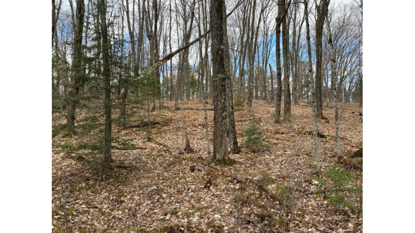 Lot 58 Lakeshore Dr Bessemer, MI 49911 by First Weber - Bessemer $26,500