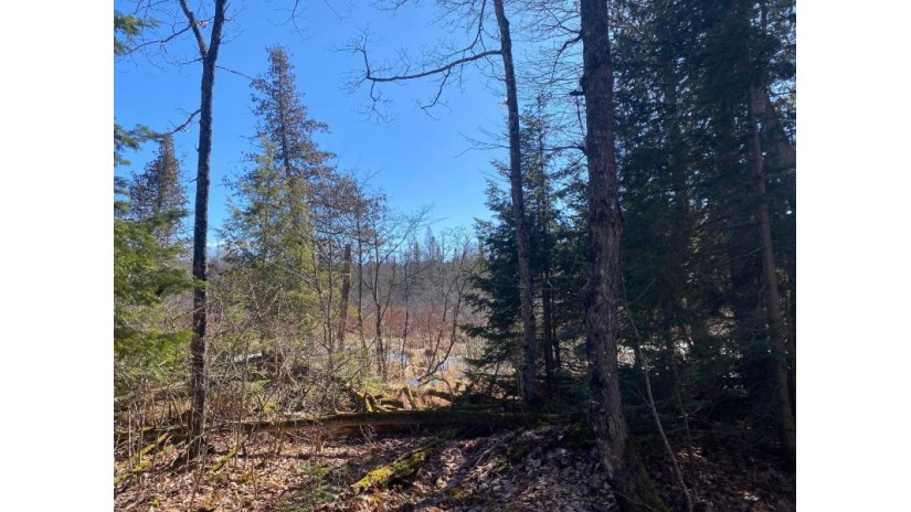 Lot 58 Lakeshore Dr Bessemer, MI 49911 by First Weber - Bessemer $26,500