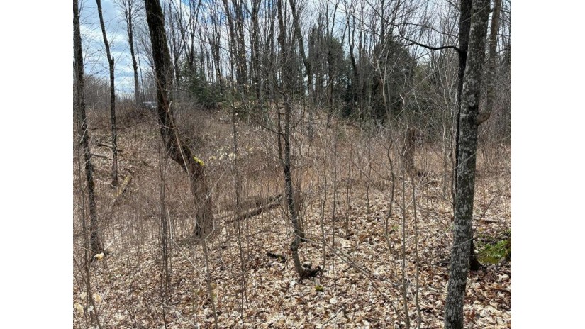 Lot 58 Lakeshore Dr Bessemer, MI 49911 by First Weber - Bessemer $26,500