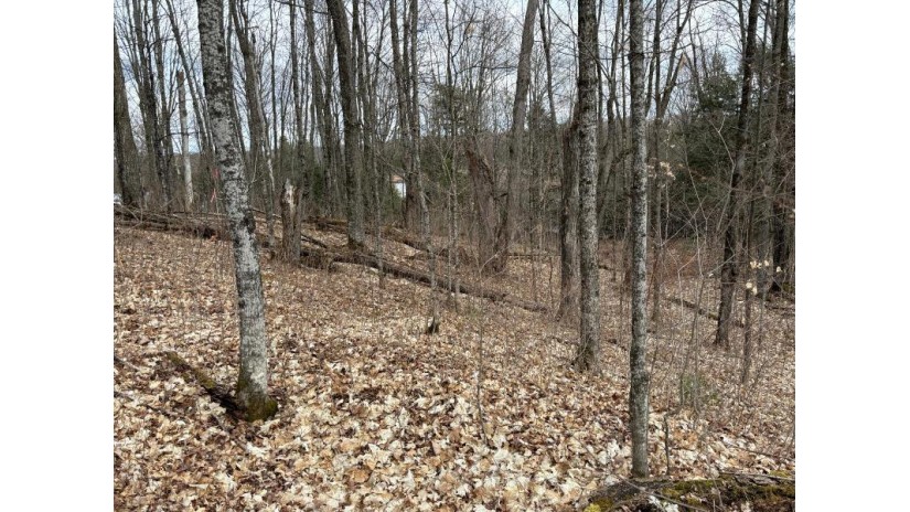 Lot 58 Lakeshore Dr Bessemer, MI 49911 by First Weber - Bessemer $26,500