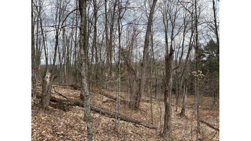 Lot 58 Lakeshore Dr Bessemer, MI 49911 by First Weber - Bessemer $26,500