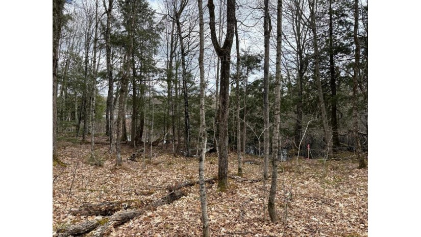 Lot 58 Lakeshore Dr Bessemer, MI 49911 by First Weber - Bessemer $26,500