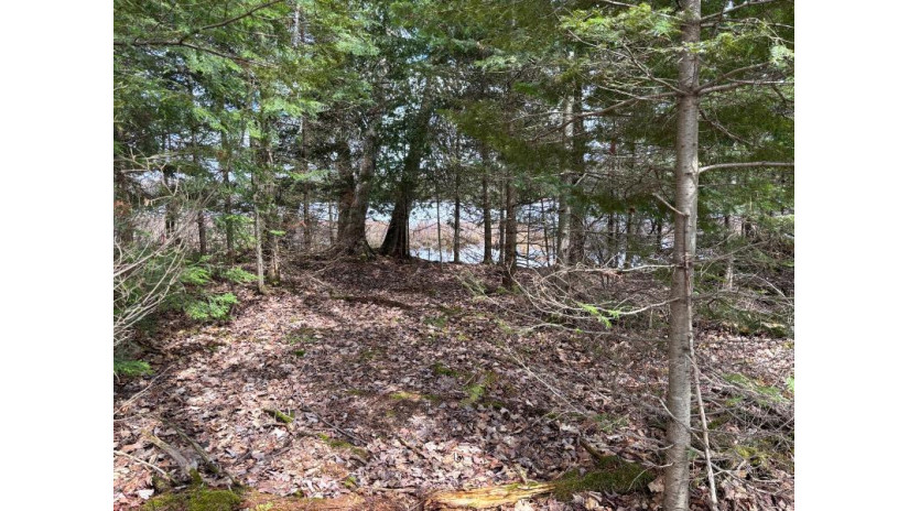 Lot 58 Lakeshore Dr Bessemer, MI 49911 by First Weber - Bessemer $26,500