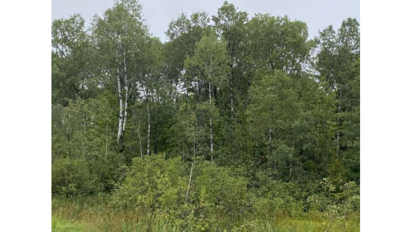 On Hagar City Rd Merrill, WI 54452 by Steigerwaldt Land Sales, Llc $406,080