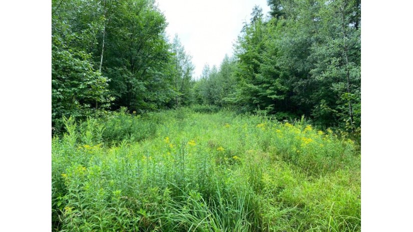 On Joe Snow Rd Merrill, WI 54452 by Steigerwaldt Land Sales, Llc $216,000