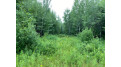 On Joe Snow Rd Merrill, WI 54452 by Steigerwaldt Land Sales, Llc $116,640